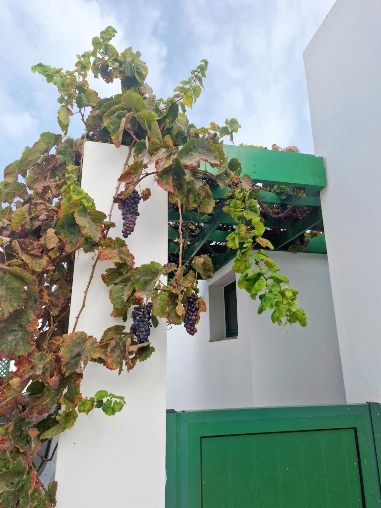 Casa Maracuya Villa Costa Teguise Buitenkant foto